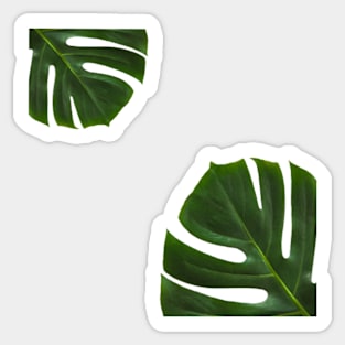 tropical leaves STICKER PACK Sticker